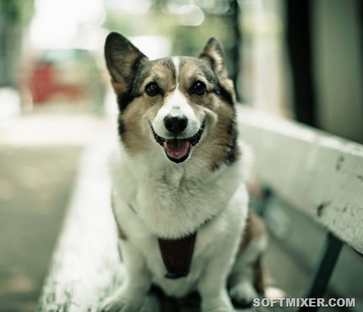 7089910-R3L8T8D-650-9