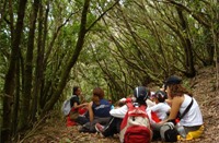 El Albergue de Bolico ubicado en el Parque Rural de Teno ofrece un programa de educacin ambiental