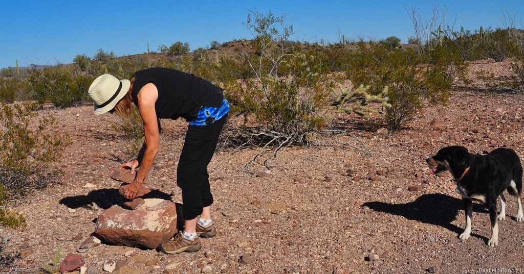 [DSC_0042%255B3%255D.jpg]