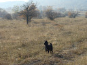 DSC02502.JPG