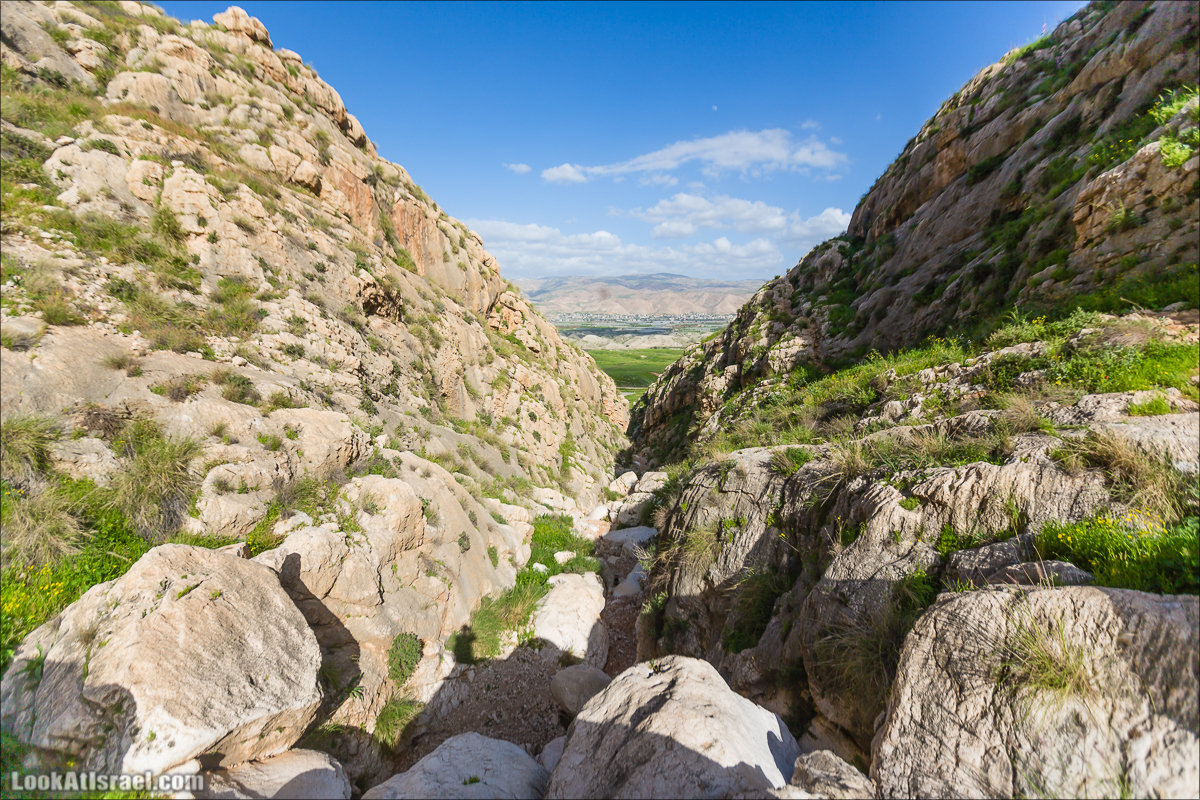 LookAtIsrael.com - Ручей (нахаль) Талкид | Nahal Talkid | נחל תלקיד