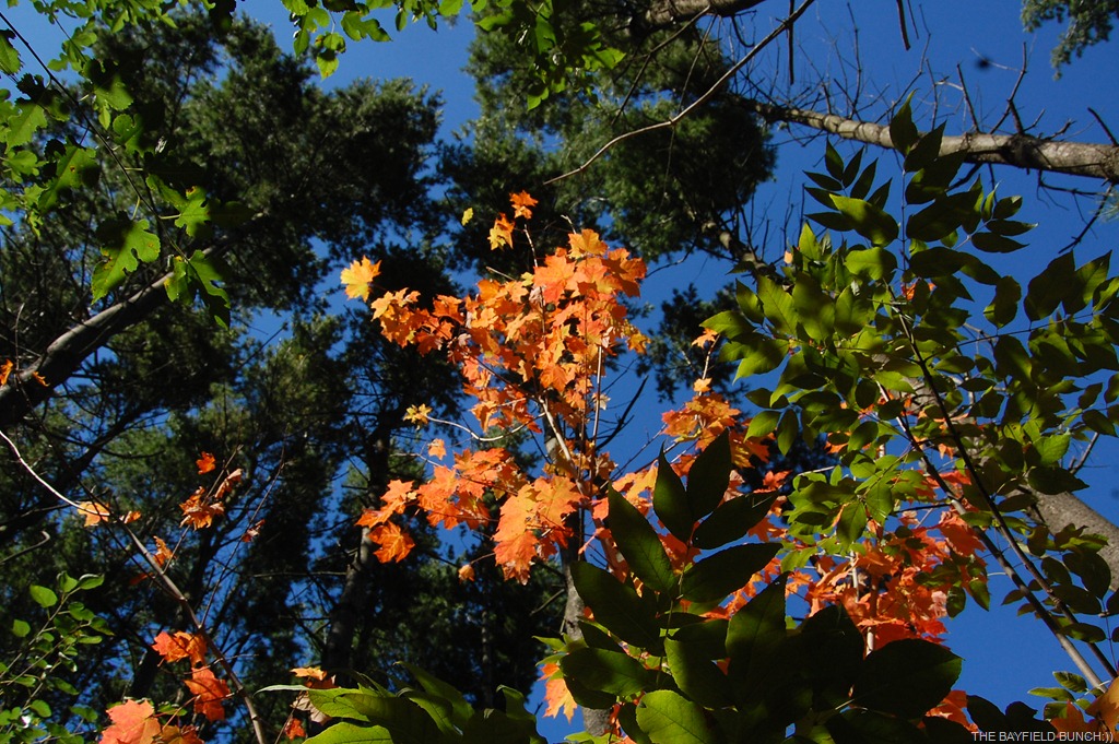 [DSC_8230%255B4%255D.jpg]