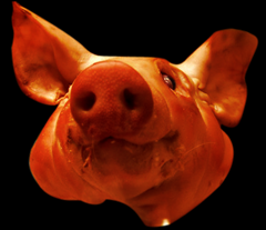 Pig-God