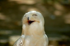 [smile%255B2%255D.jpg]