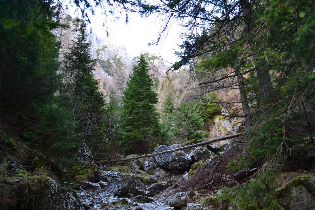 [DSC_00803.jpg]