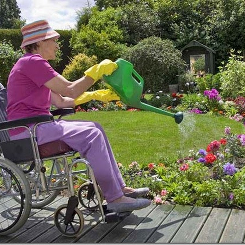 Gardening for the disabled