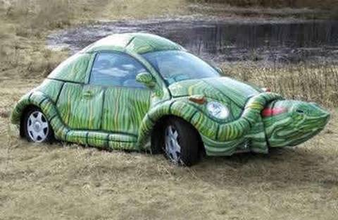 [turtle-car3.jpg]