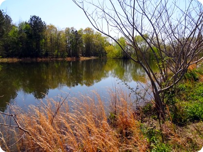 fishing pond