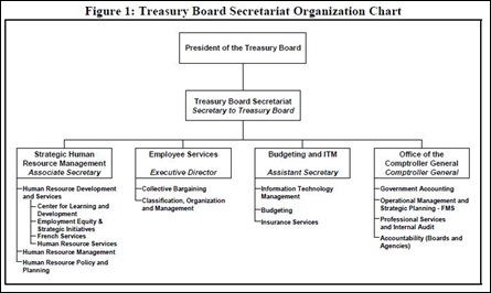 TB org chart 2001