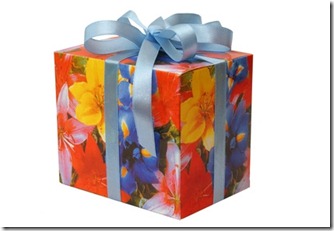 gift-wrap-purse-800x800