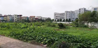 Khu đất được giao để thực hiện dự án Trung tâm giặt là, tiệt trùng tại phường Việt Hưng, quận Long Biên nằm ở vị trí gần UBND quận Long Biên. Khu đất được giao để thực hiện dự án Trung tâm giặt là, tiệt trùng tại phường Việt Hưng, quận Long Biên nằm ở vị trí gần UBND quận Long Biên.