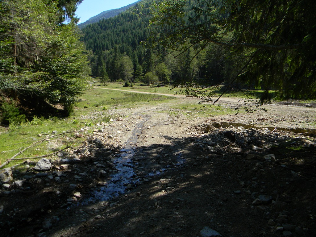 [DSCN52273.jpg]