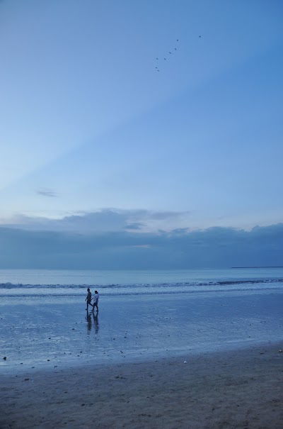 DSC_0101.jpg