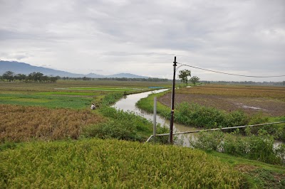DSC_0079.JPG