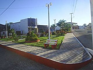 [ANT%2520MARTINS%255B3%255D.jpg]