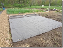 Plot with landscape fabric