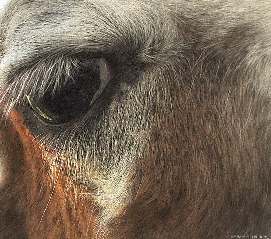 [DSC_0018%255B5%255D.jpg]