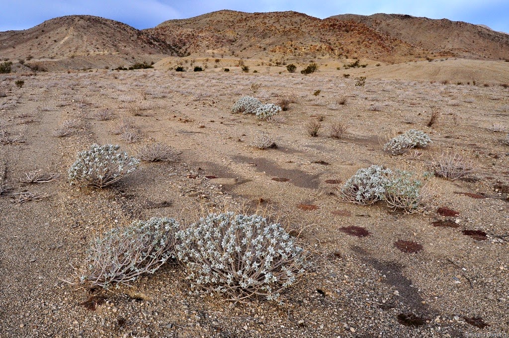 [DSC_0001%255B7%255D.jpg]