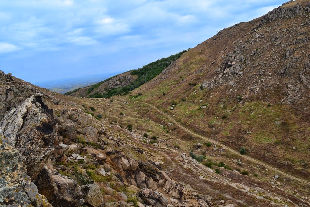 [DSC_62893.jpg]