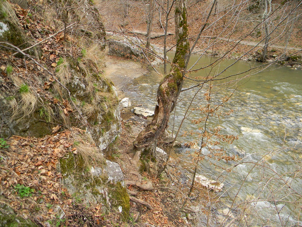 [DSCN84113.jpg]