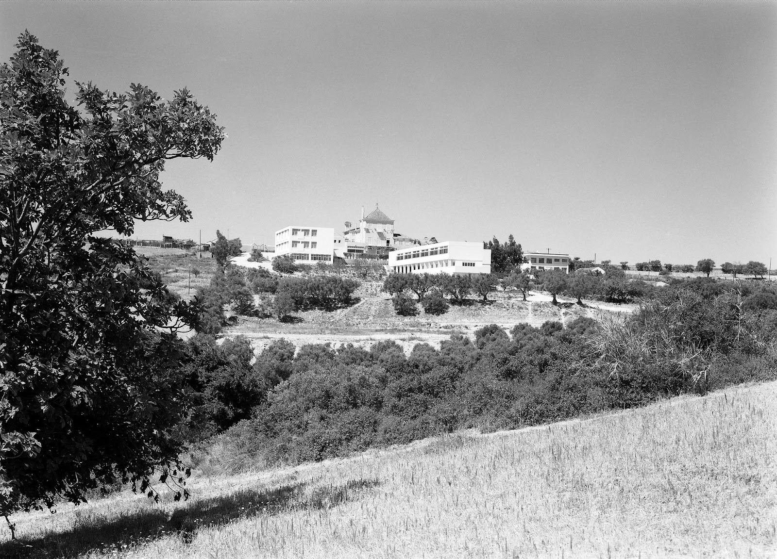 [Colgio-Valsassina.05.jpg]