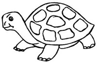 tortugas para colorear (3)