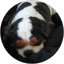 Image Google de Murielle Nerbusson