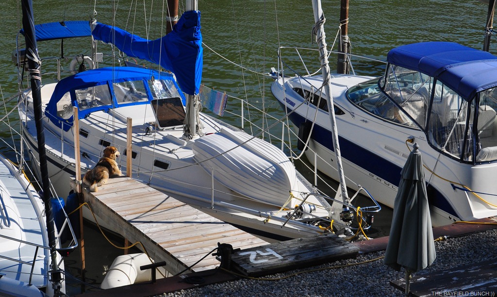 [DSC_0013%255B4%255D.jpg]