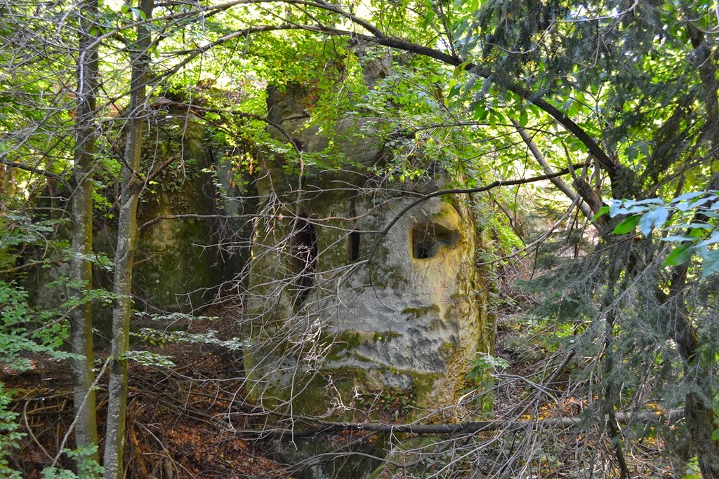 [DSC_03683.jpg]