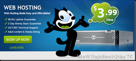 Estro Web Services Private Limited Best Web Hosting