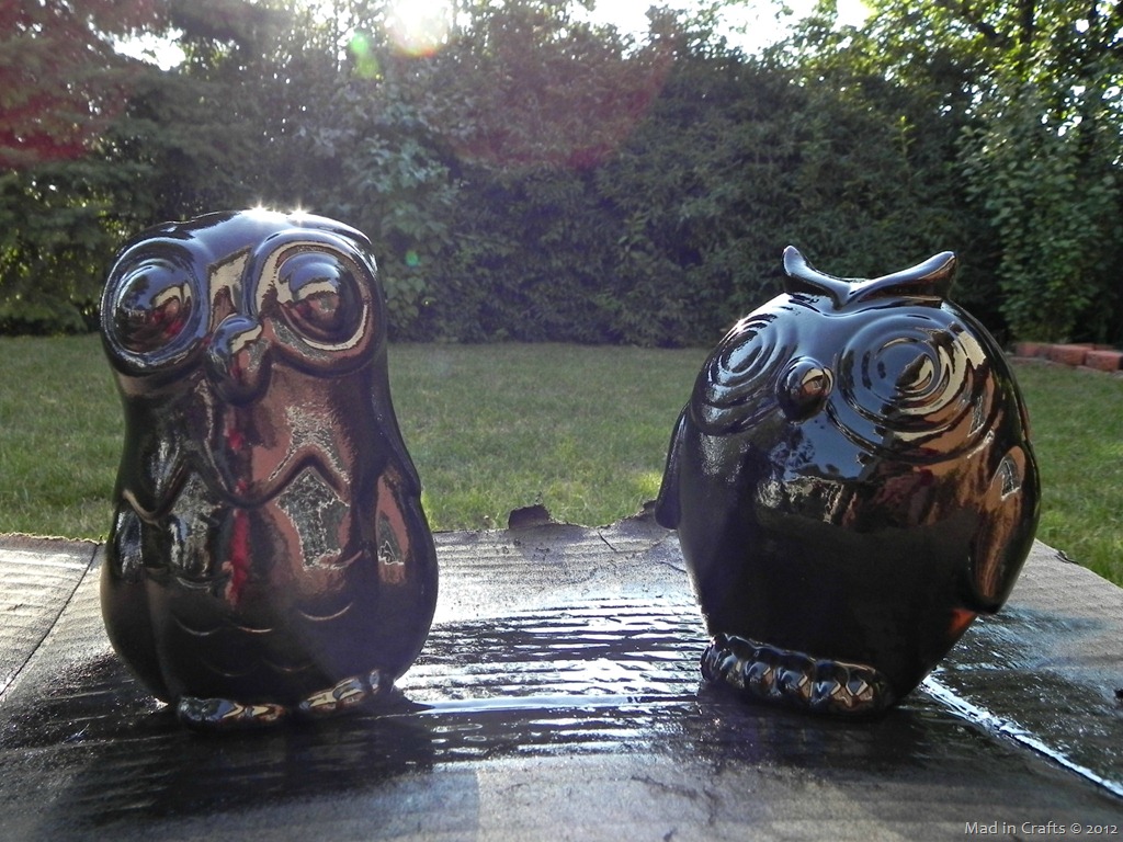 [orb-owls3.jpg]