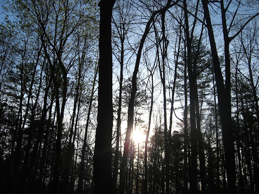 Troop 13 Stone Door 2009