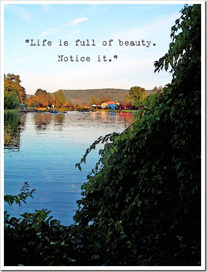 life is full of beauty