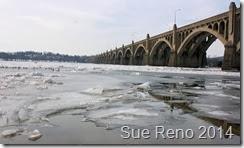Ice on the Susquehanna River, 2/2014, by Sue Reno, Image 1