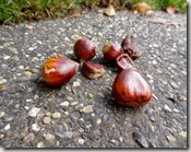 DSC09073 (1300x974) DSC09073 (1300x974)