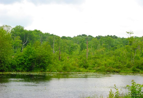 2. bog beyond-kab