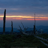 大台ケ原,9月(PK3_9837,F6.3,32mm,K3)2014yaotomi_.jpg