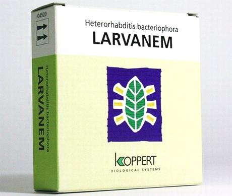 Larvanem 3