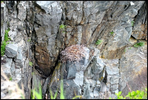 15h - rugged trail back- bird nest on the cliff