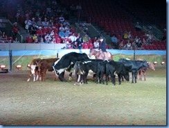 9682 Alberta Calgary Stampede 100th Anniversary - ENMAX Corral Show Tails