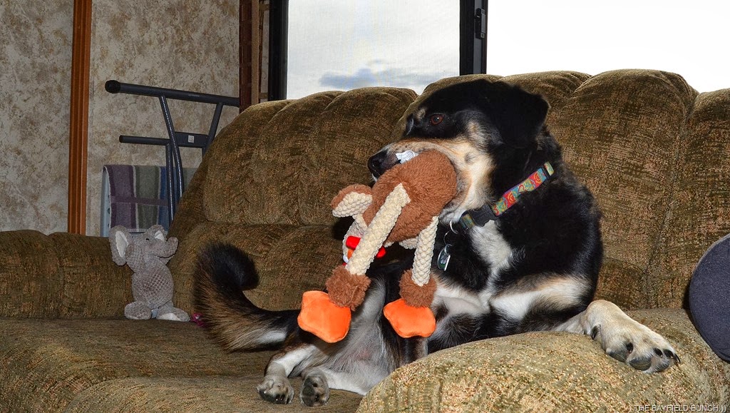 [DSC_0024%255B4%255D.jpg]