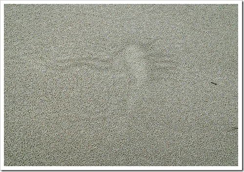 Hilton Head sand pattern