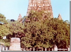 SueReno_Mahabodhi Temple 1