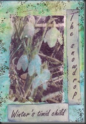 January ATC for TrishBees group