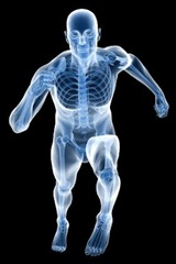 R3_03_Human-Physiology R3_03_Human-Physiology