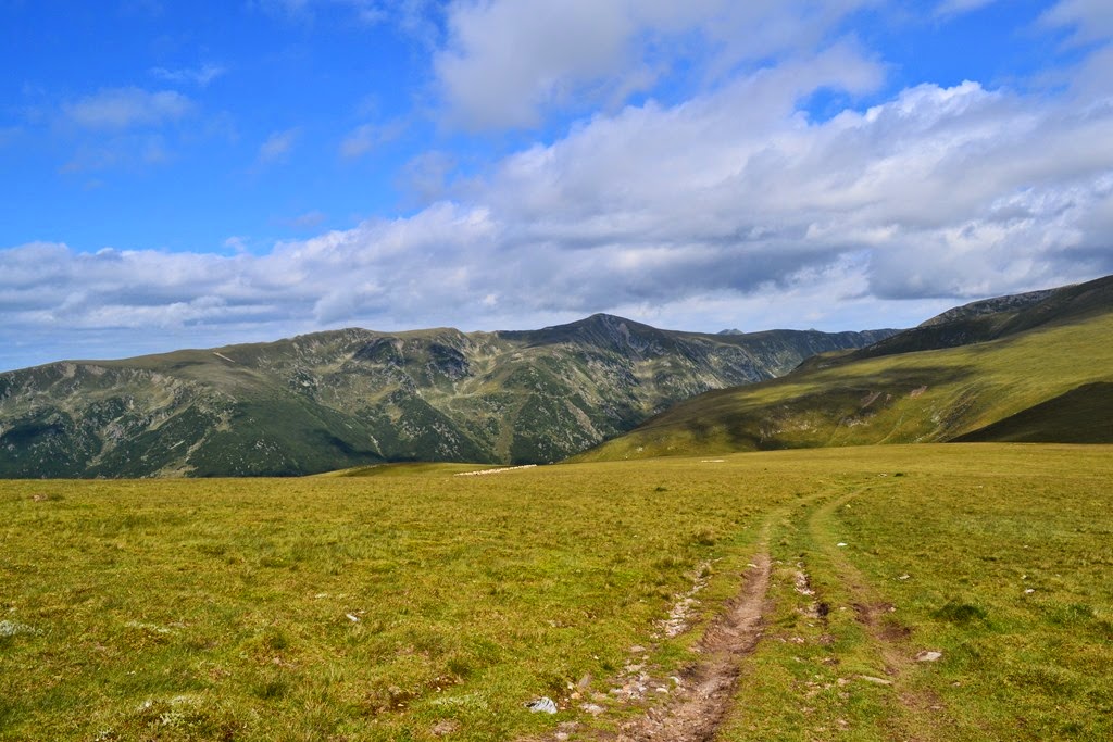 [DSC_48383.jpg]