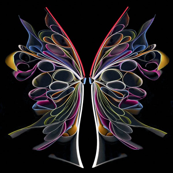 cara-barer-butterfly-2