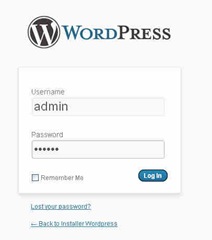 installer-wordpress_12