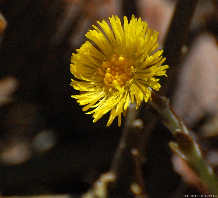 [DSC_9142%255B4%255D.jpg]