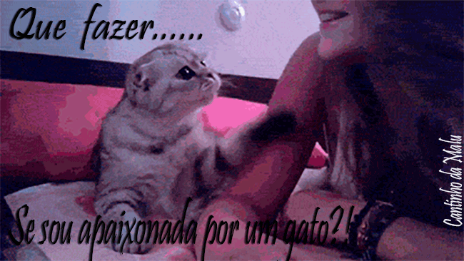 gatoapaixonado.gif